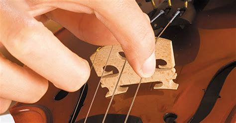 what does pizzicato mean in music and how does it differ from plucking a guitar string?